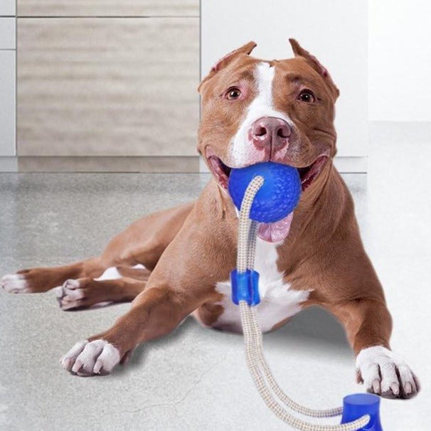 Cabo de Guerra para Pet